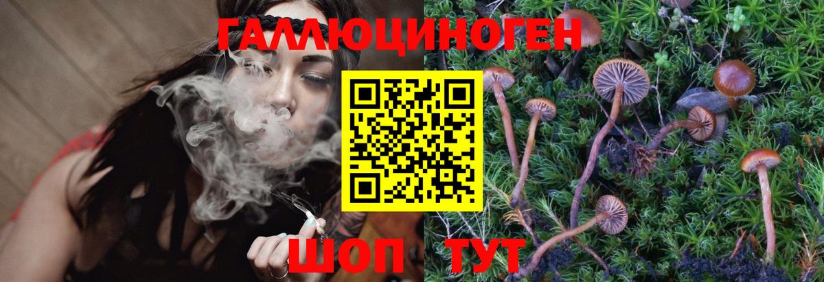 Псилоцибиновые грибы прущие грибы  Галлюциногенные грибы Psilocybine cubensis  Качканар  Вход с VPN 